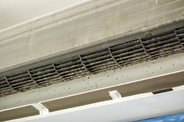 Best Professional Duct Cleaning Services  in South Congaree, SC