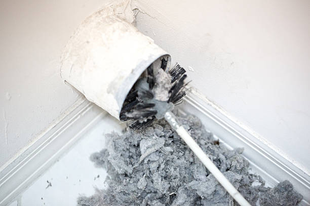 Best Ductwork Cleaning Services  in South Congaree, SC